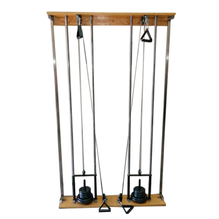 Poleas Dobles de Pared para Fisioterapia con 4 discos de 1kg y 4 discos de 2 kg - Mecano Rehab